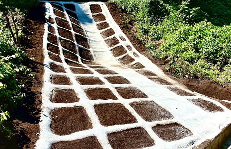 簡易法枠吹付工